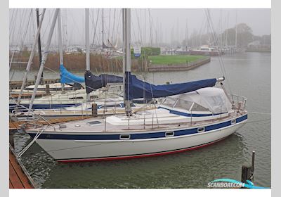 Hallberg-Rassy 352 Segelboot 1984, mit Volvo Penta D2-50 motor, Niederlande