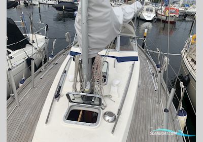 Hallberg-Rassy 352 Segelboot 1984, mit Volvo-Penta MD21B motor, Deutschland