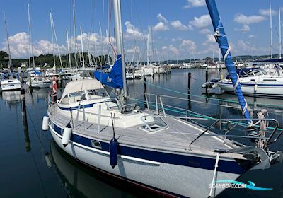 Hallberg Rassy 352 Segelboot 1983, mit Volvo Penta MD21, 4-Cyl, 75 hp motor, Dänemark