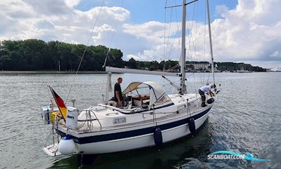 Hallberg-Rassy 36 Segelboot 1992, mit Volvo Penta MD22 motor, Deutschland