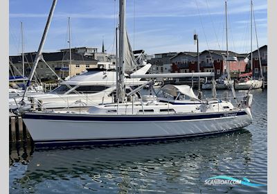 Hallberg Rassy 37 Segelboot 2005, mit VOLVO PENTA D 2-55 motor, Dänemark