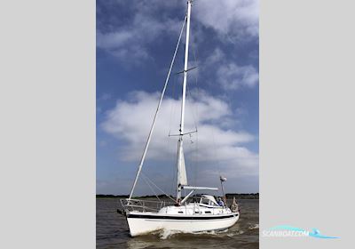 Hallberg Rassy 37 Segelboot 2006, mit Yanmar 4JH4E motor, Niederlande