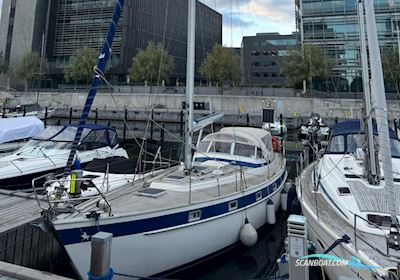 Hallberg-Rassy 38 Segelboot 1979, mit Volvo Penta D2 - 75 motor, Dänemark