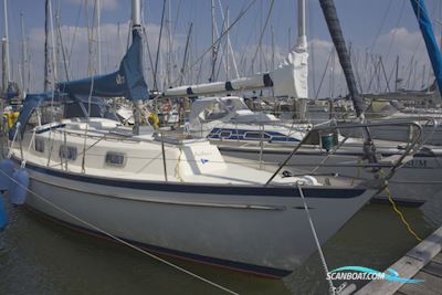 Hallberg-Rassy Monsun 31 Segelboot 1978, mit Vetus Mitsubishi motor, Niederlande