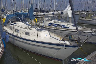 Hallberg-Rassy Monsun 31 Segelboot 1978, mit Vetus Mitsubishi motor, Niederlande