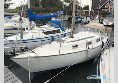 Hallberg-Rassy Monsun 31 Segelboot 1976, mit Volvo Penta D2-40 motor, Deutschland