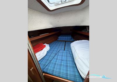 Hallberg-Rassy Monsun 31 Segelboot 1976, mit Volvo Penta D2-40 motor, Deutschland