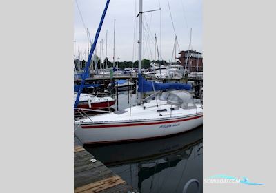 Hanse 291 Segelboot 1993, mit Yanmar Diesel motor, Deutschland