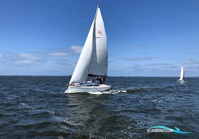 Hanse 315 Segelboot 2017, Dänemark