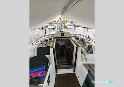 Hanse 315 Segelboot 2020, mit Yanmar 2YM15 motor, Deutschland