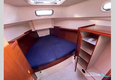 Hanse 370 Segelboot 2007, mit Yanmar 3YM30
 motor, Dänemark