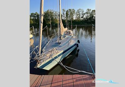 Helmsman 35 Barracuda Segelboot 1984, mit Volvo Penta MD 2003 motor, Deutschland