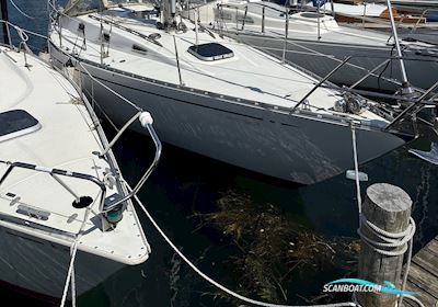 Hinrichsen 34 Segelboot 1976, mit Yanmar motor, Dänemark