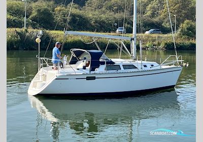 Hunter 30 Segelboot 1991, mit Yanmar motor, Niederlande