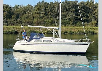 Hunter 30 Segelboot 1991, mit Yanmar motor, Niederlande