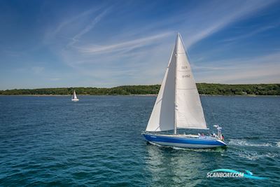 Hylas 51 Ocean Race Segelboot 1992, mit Yanmar 4JH2-HT motor, Deutschland