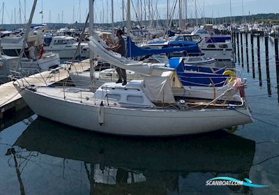 Impala 28 Segelboot 1977, mit Yanmar motor, Dänemark