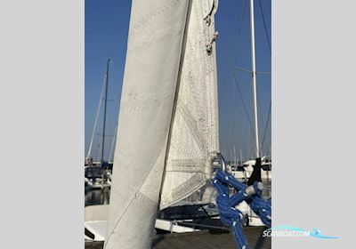 International 1006, DEN-40, SOLGT Segelboot 1984, mit Lombardini  motor, Dänemark