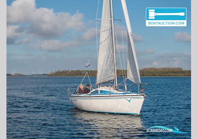Jantar 21 Segelboot 1983, mit Suzuki motor, Niederlande