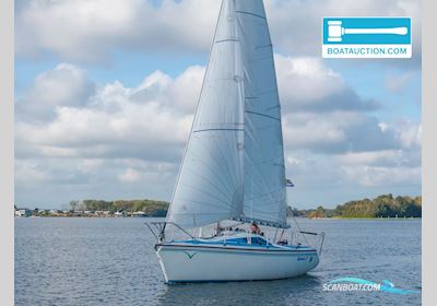Jantar 21 Segelboot 1983, mit Suzuki motor, Niederlande