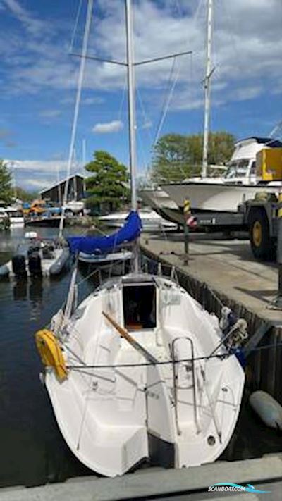 Jeanneau 24.2 Segelboot 1998, mit Yanmar motor, England