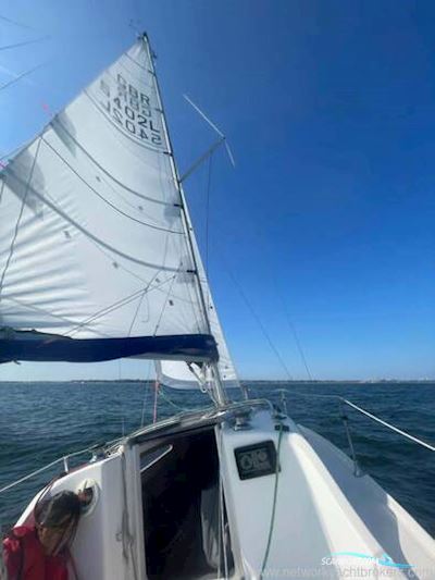 Jeanneau 24.2 Segelboot 1998, mit Yanmar motor, England