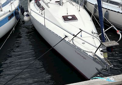 Jeanneau Arcadia Segelboot 1985, mit Yanmar motor, Dänemark