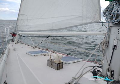 Jeanneau Melody Segelboot 1977, mit Volvo Penta MD 17C motor, Dänemark