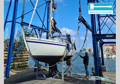 Jeanneau Sangria Segelboot 2024, mit Yamaha motor, Niederlande