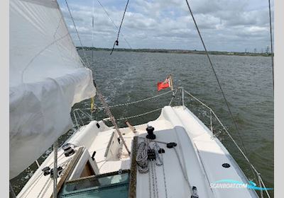 Jeanneau Sun 2500 Segelboot 2005, mit Yanmar IGM10 motor, England