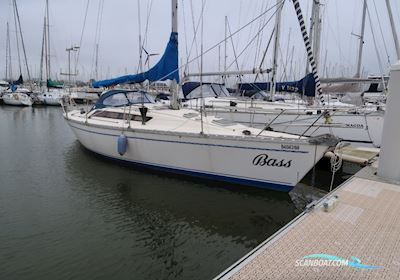 Jeanneau Sun Shine 36 Segelboot 1985, mit Volvo Penta 2003 motor, Belgien