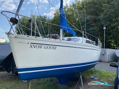 Jeanneau Tonic 23 Segelboot 1989, mit Yamaha motor, England