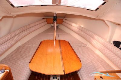 Jeanneau Tonic 23 Segelboot 1989, mit Yamaha motor, England
