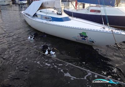 Karavel 10M Segelboot 1979, Dänemark