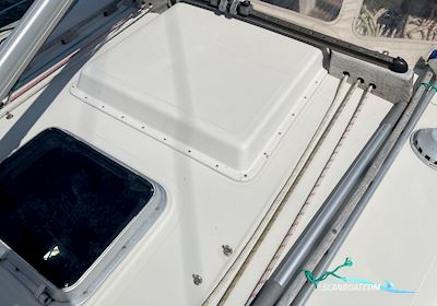 Kaskelot Segelboot 1972, mit Yanmar  motor, Dänemark