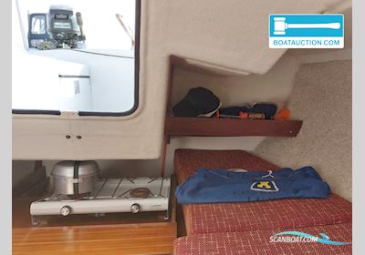 Kelt 550 Segelboot 1979, mit Mercury motor, Niederlande