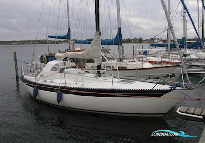 Kings Cruiser 33 Segelboot 1975, mit Volvo Penta 2003 motor, Dänemark
