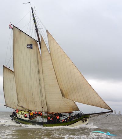 Klipper Zeilcharter Segelboot 1896, mit DAF motor, Niederlande