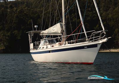 Koopmans 37 Segelboot 1994, mit Vetus 4.14 motor, Niederlande