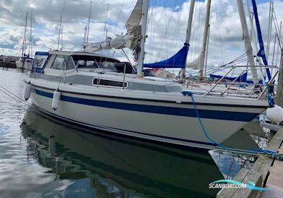 LM 26 Segelboot 1981, mit Buck dv 20 motor, Dänemark