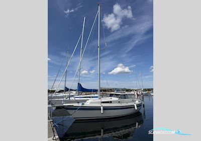 LM 26 Segelboot 1983, mit Yanmar 3YM20 motor, Dänemark