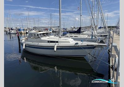 LM 26 Segelboot 1983, mit Yanmar 3YM20 motor, Dänemark