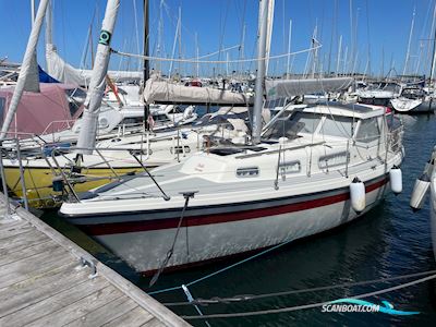 LM 30 Segelboot 1988, mit Volvo Penta motor, Dänemark