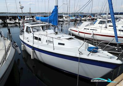 LM 32 Segelboot 1980, mit Volvo Penta MD 2040 motor, Dänemark