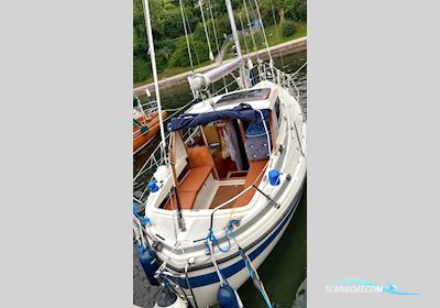 LM Boats 26 Segelboot 1980, mit Bukh DV 20 motor, Deutschland
