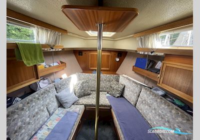 LM Boats 26 Segelboot 1980, mit Bukh DV 20 motor, Deutschland