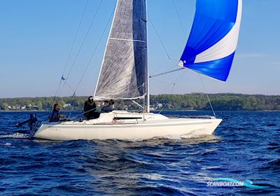 Larsen 25 Segelboot 1987, mit Yamaha motor, Deutschland