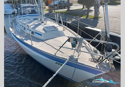 Malo 36 (Gedupliceerd) Segelboot 1998, Niederlande