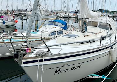 Malö 40H Segelboot 1982, mit Motor: Volvo Penta MD17 D, 3-Zylinder, 36?PS, 2-Kreis-Kühlung motor, Deutschland