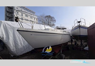 Mascot 28 Segelboot 1981, mit Bukh DV20 motor, Deutschland